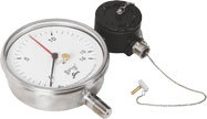 Indicating Pressure Switch